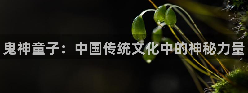 漫画之家韩漫：鬼神童子：中国传统文化中的神秘力量