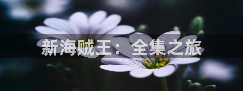 漫画之家软件：新海贼王：全集之旅